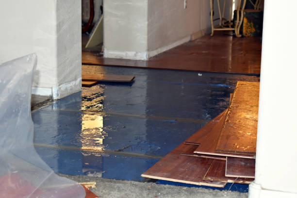 Professional Burst Pipe Cleanup technician working in Newtonville, MA