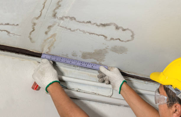 Reliable Burst Pipe Cleanup contractor in Newtonville, MA by Water Damage Irwin